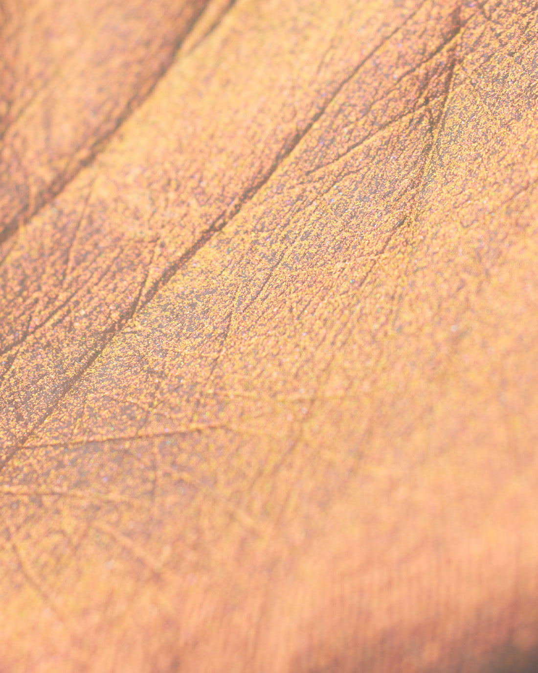 Midsummer Fairytales Liquid Highlighter (Multichrome) Image 21