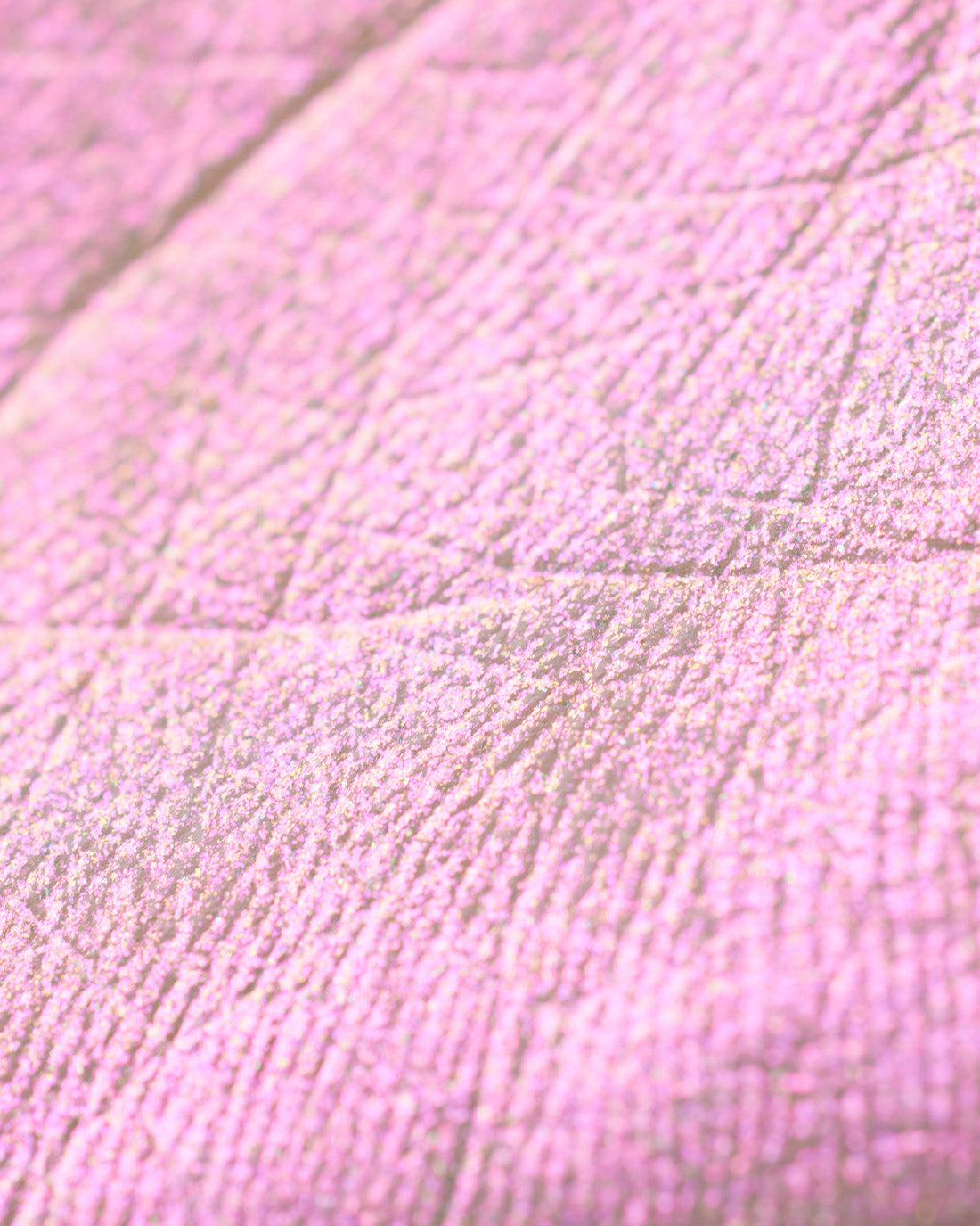 Midsummer Fairytales Liquid Highlighter (Multichrome) Image 29